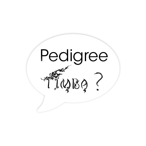 Pédigrée Timba ?