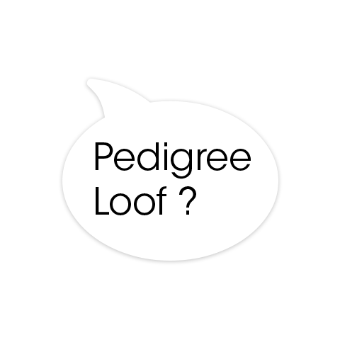 Pédigrée Loof ?