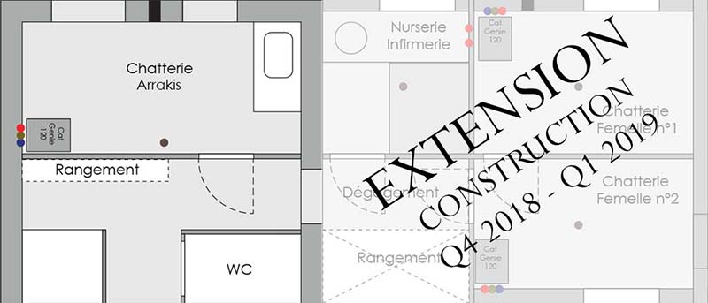 Plan de la chatterie et de l'extension