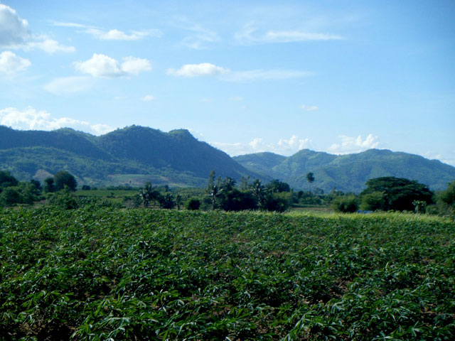 Plateau du Korat - Thaïlande, origine du chat Maew Boran - Korat