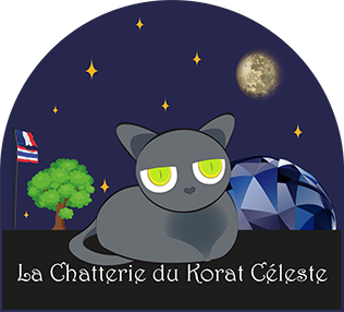 Logo chatterie - Korat blasé