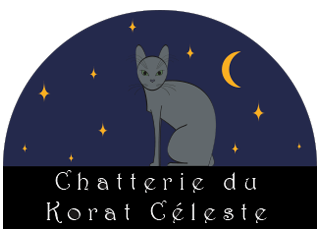 Logo 320px Korat Céleste